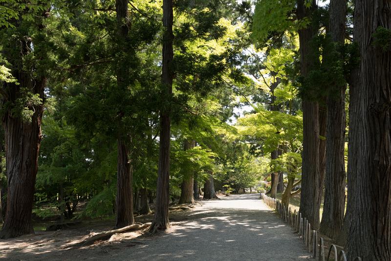 foto_20180528_1314_02_LR.jpg - cmichel@ballonspass.de