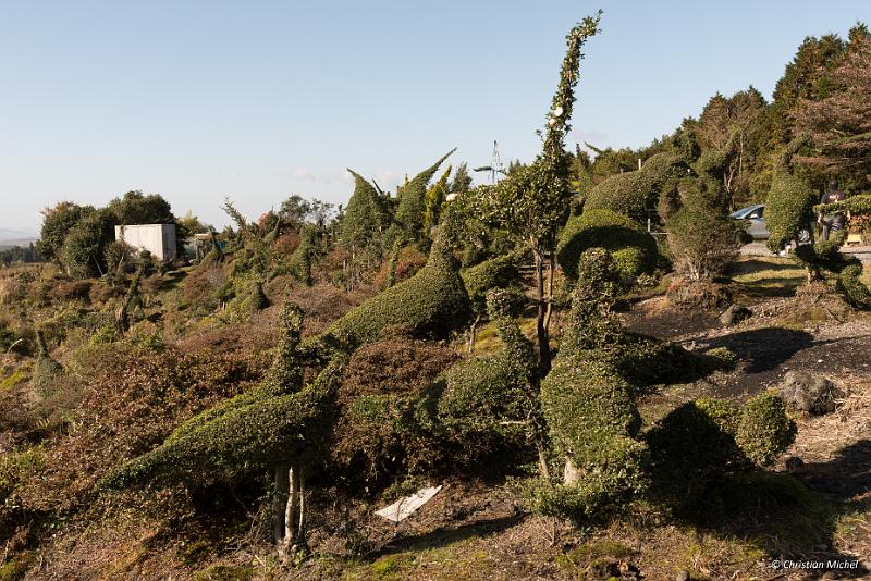 foto_20181027_0913_03_LR.jpg - cmichel@ballonspass.de