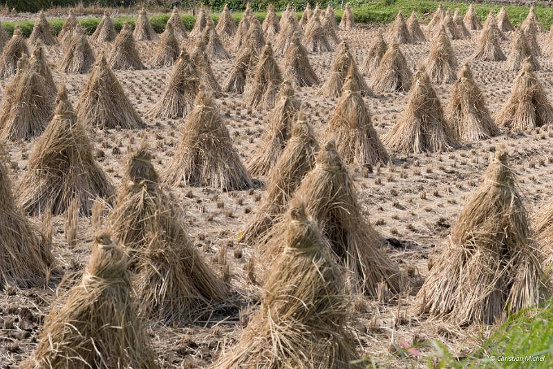 foto_20181027_1215_02_LR.jpg - cmichel@ballonspass.de