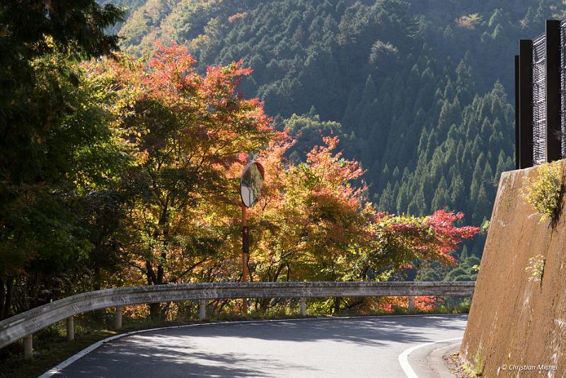 foto_20181028_1416_01_LR.jpg - cmichel@ballonspass.de