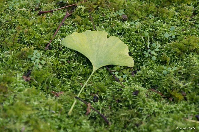 foto_20181028_1438_03_LR.jpg - cmichel@ballonspass.de