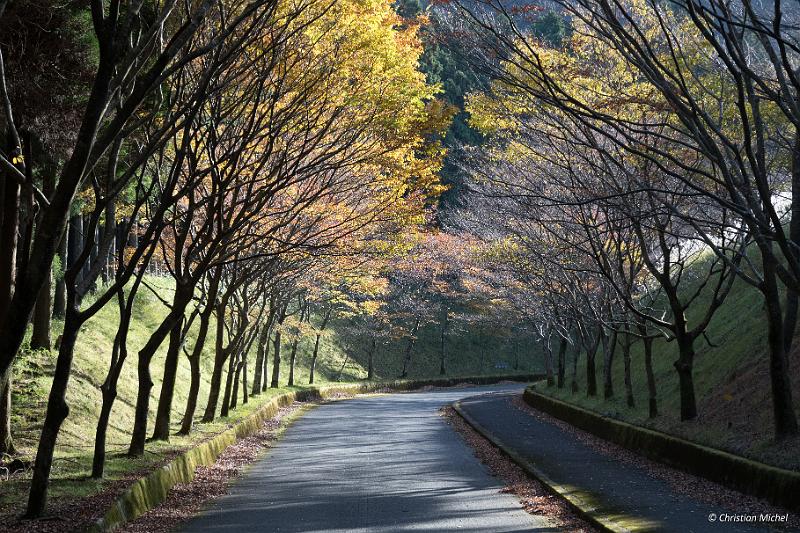 foto_20181028_1518_04_LR.jpg - cmichel@ballonspass.de