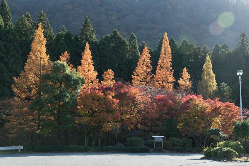 foto_20181028_1520_02_LR.jpg - cmichel@ballonspass.de