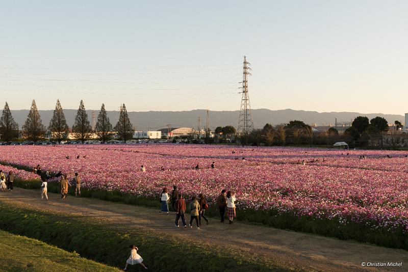 foto_20181028_1702_03_LR.jpg - cmichel@ballonspass.de