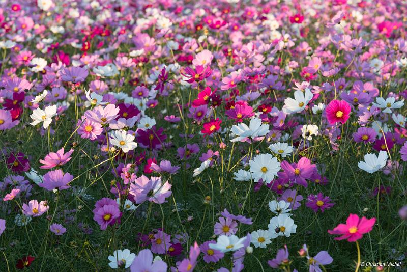 foto_20181028_1706_02_LR.jpg - cmichel@ballonspass.de