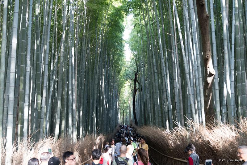 foto_20181106_1401_04_LR.jpg - cmichel@ballonspass.de