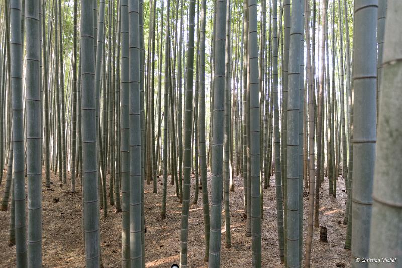 foto_20181106_1402_02_LR.jpg - cmichel@ballonspass.de