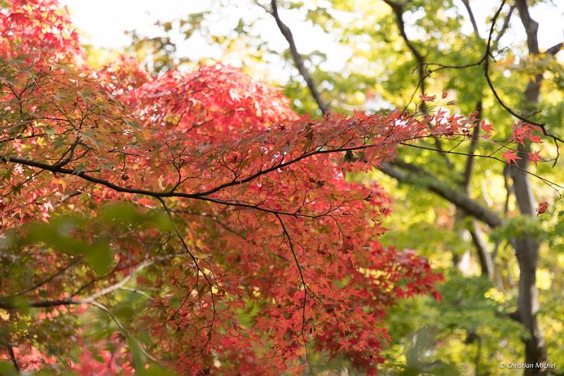 foto_20181106_1412_02_LR.jpg - cmichel@ballonspass.de