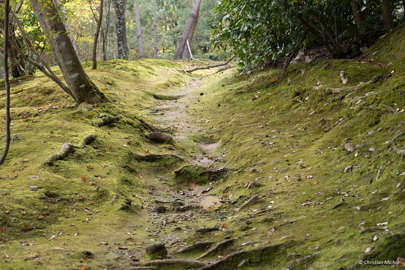 foto_20181106_1413_01_LR.jpg - cmichel@ballonspass.de