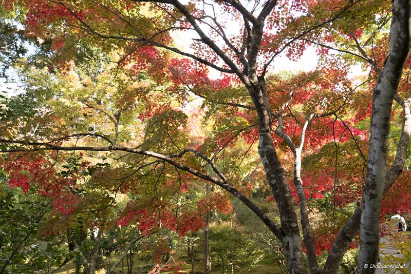 foto_20181106_1414_01_LR.jpg - cmichel@ballonspass.de