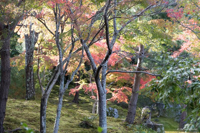 foto_20181106_1418_01_LR.jpg - cmichel@ballonspass.de