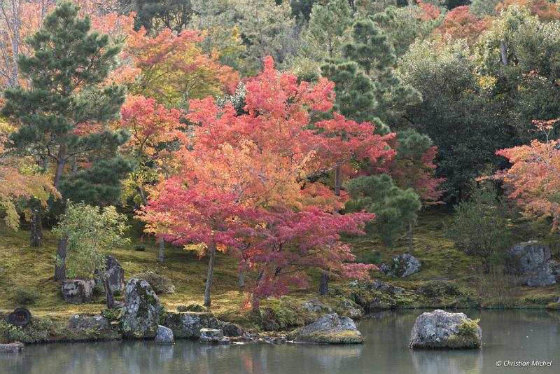 foto_20181106_1420_01_LR.jpg - cmichel@ballonspass.de