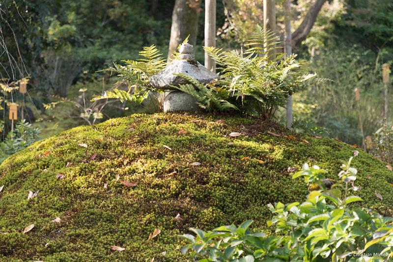 foto_20181106_1427_06_LR.jpg - cmichel@ballonspass.de