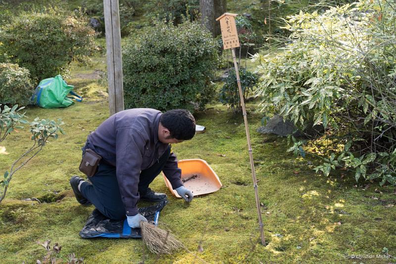 foto_20181106_1428_01_LR.jpg - cmichel@ballonspass.de