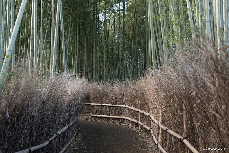 foto_20181106_1437_02_LR.jpg - cmichel@ballonspass.de