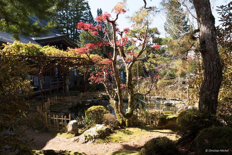 foto_20181107_1223_02_LR.jpg - cmichel@ballonspass.de