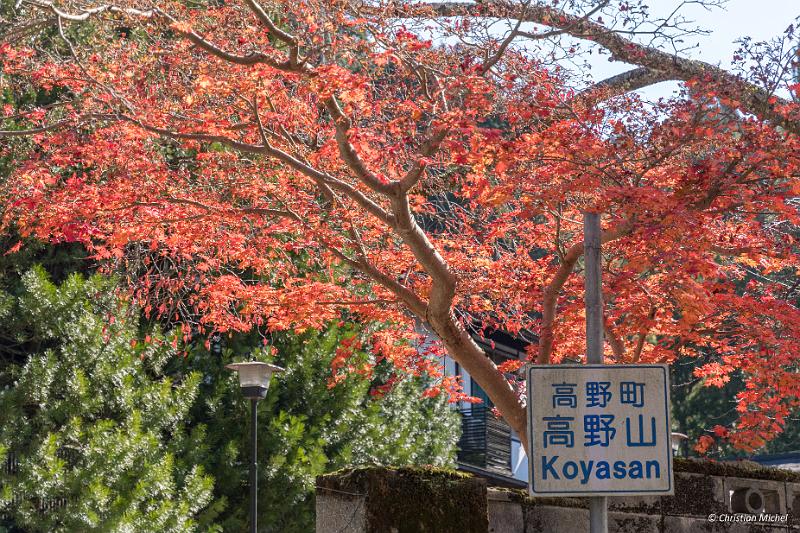 foto_20181107_1244_02-HDR_LR.jpg - cmichel@ballonspass.de