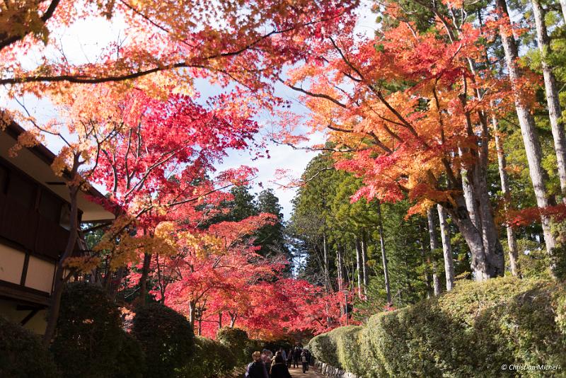 foto_20181107_1302_01_LR.jpg - cmichel@ballonspass.de