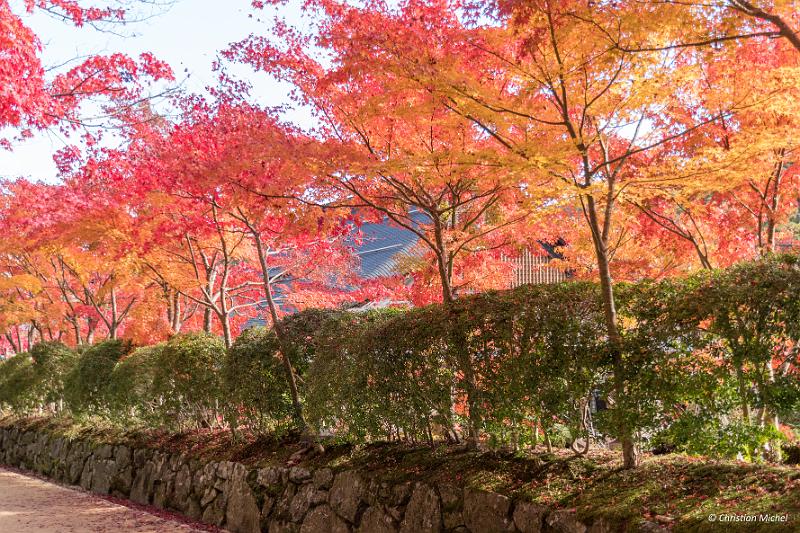 foto_20181107_1307_02-HDR_LR.jpg - cmichel@ballonspass.de