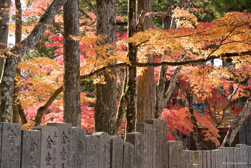 foto_20181107_1309_02_LR.jpg - cmichel@ballonspass.de