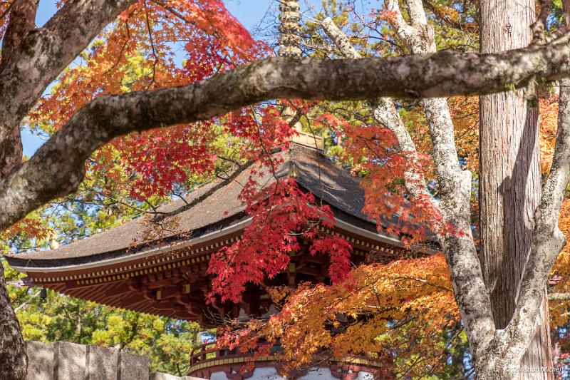 foto_20181107_1312_02-HDR_LR.jpg - cmichel@ballonspass.de