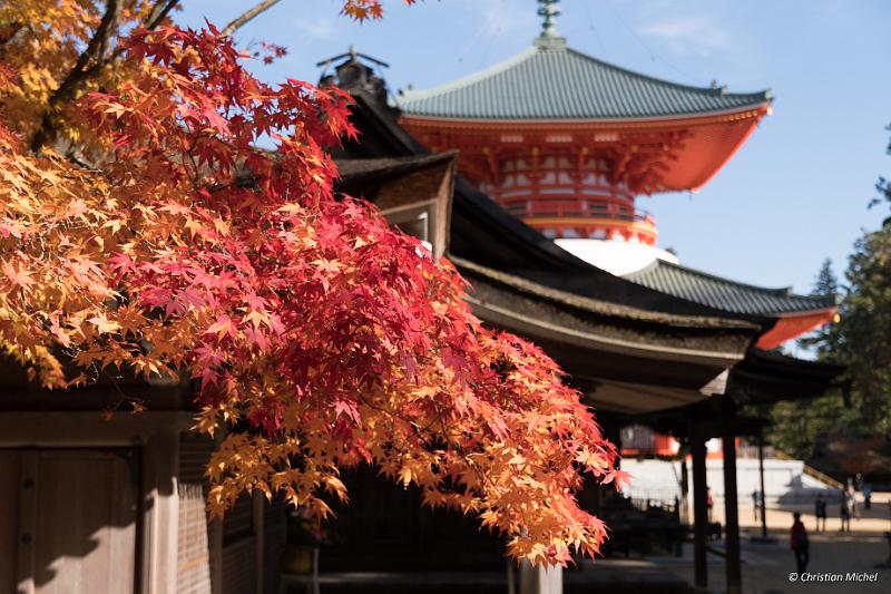 foto_20181107_1324_02_LR.jpg - cmichel@ballonspass.de