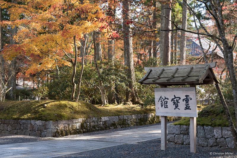 foto_20181107_1342_01_LR.jpg - cmichel@ballonspass.de