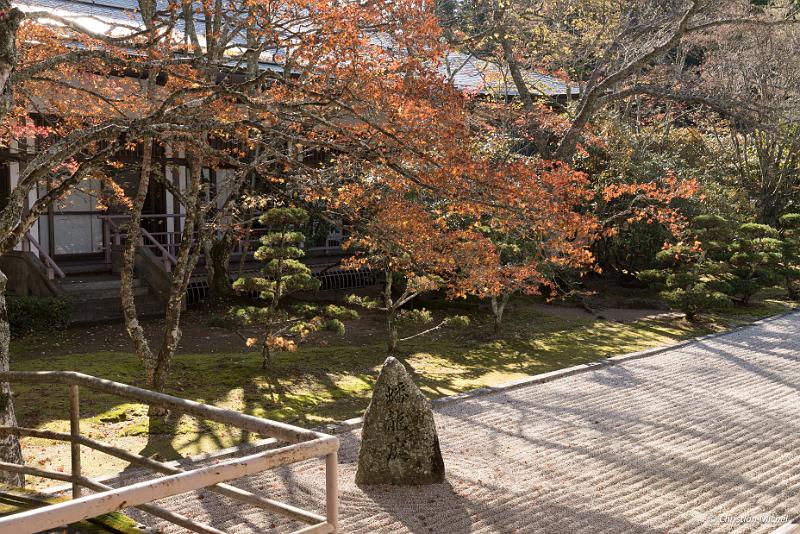 foto_20181107_1400_01_LR.jpg - cmichel@ballonspass.de