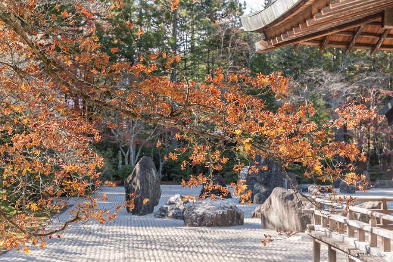 foto_20181107_1400_05-HDR_LR.jpg - cmichel@ballonspass.de