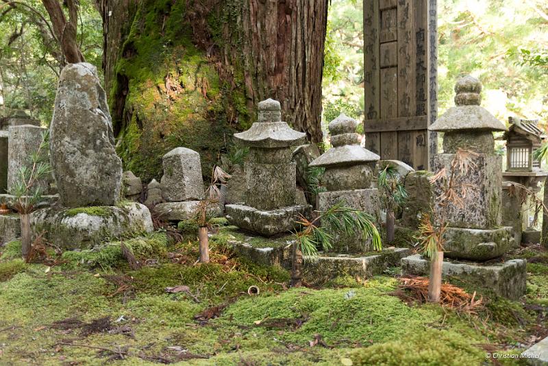 foto_20181107_1505_01_LR.jpg - cmichel@ballonspass.de