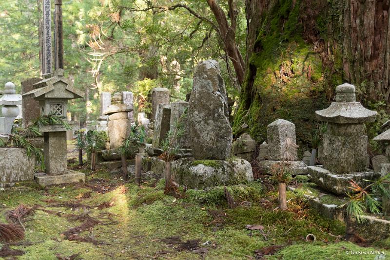 foto_20181107_1505_04_LR.jpg - cmichel@ballonspass.de