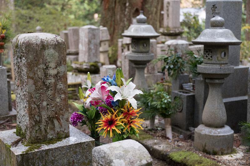 foto_20181107_1514_01_LR.jpg - cmichel@ballonspass.de