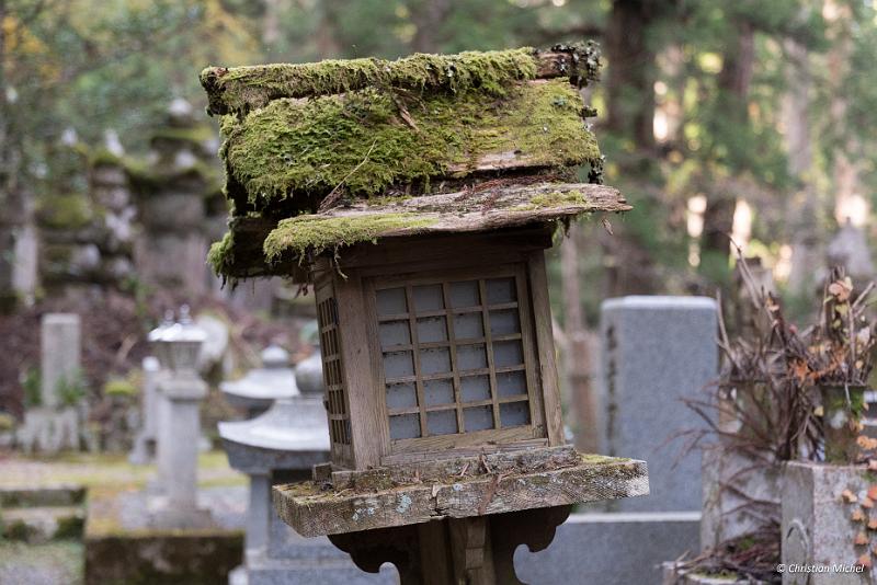 foto_20181107_1516_01_LR.jpg - cmichel@ballonspass.de