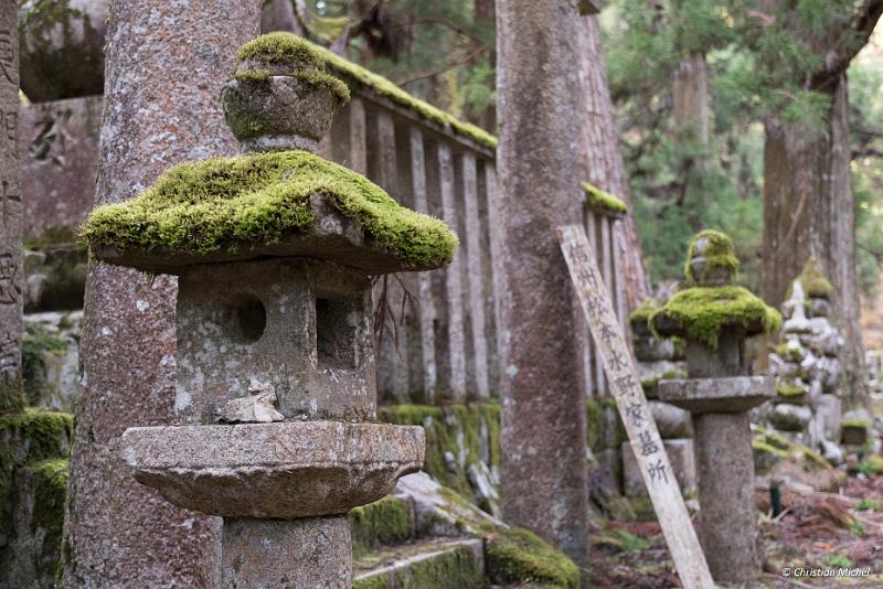 foto_20181107_1519_02_LR.jpg - cmichel@ballonspass.de