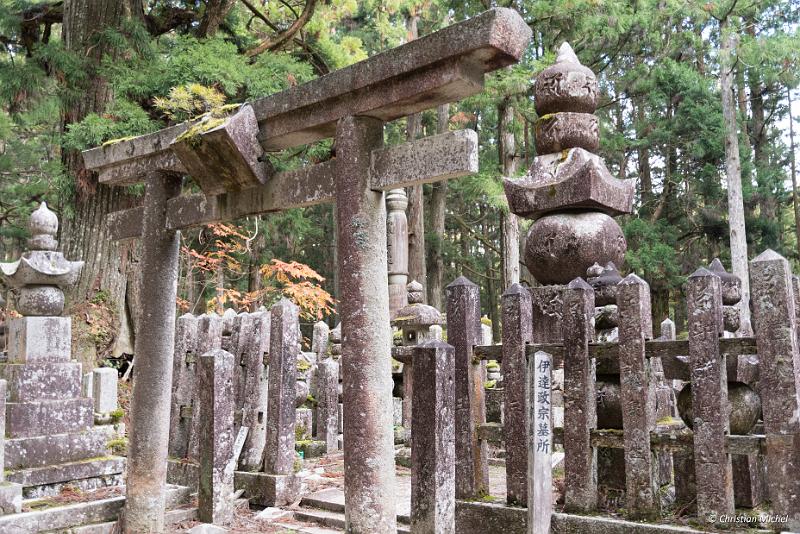 foto_20181107_1533_01_LR.jpg - cmichel@ballonspass.de