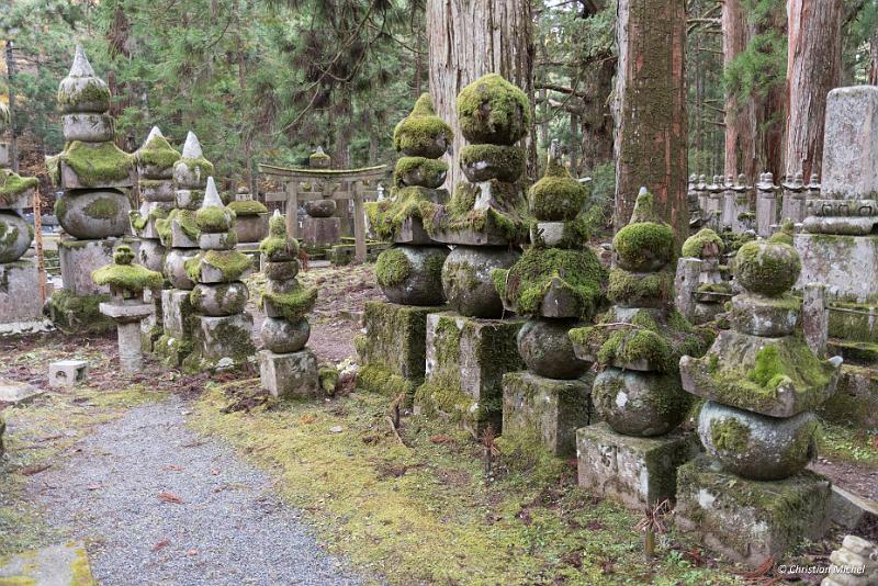 foto_20181107_1621_01_LR.jpg - cmichel@ballonspass.de