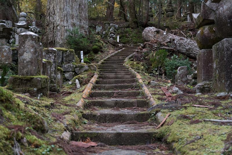 foto_20181107_1639_01_LR.jpg - cmichel@ballonspass.de