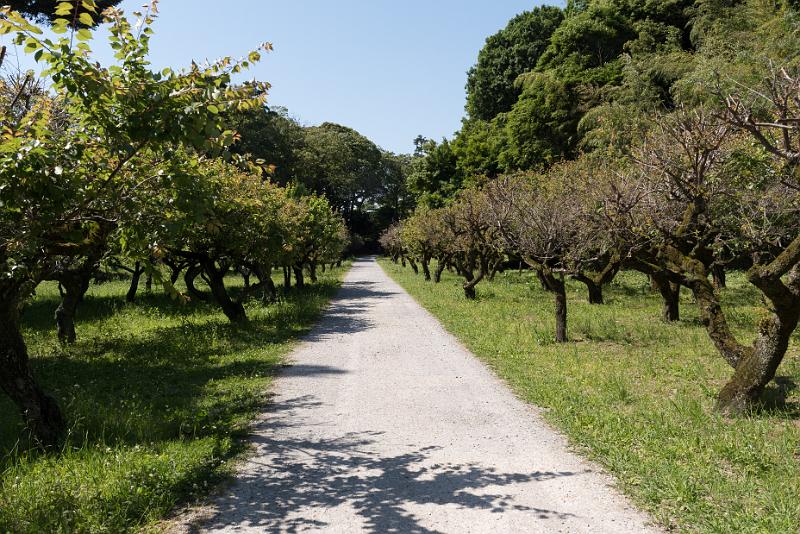foto_20180522_1423_01_LR.jpg - cmichel@ballonspass.de