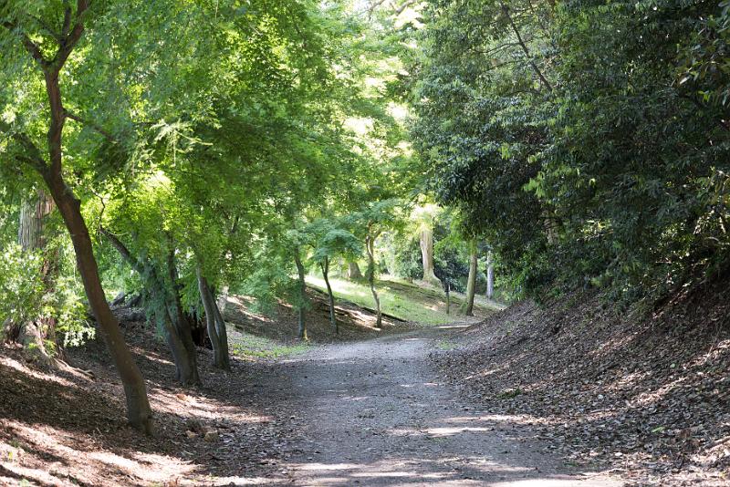 foto_20180522_1434_02_LR.jpg - cmichel@ballonspass.de