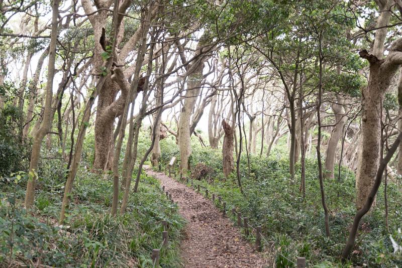 foto_20180523_1404_02_LR.jpg - cmichel@ballonspass.de