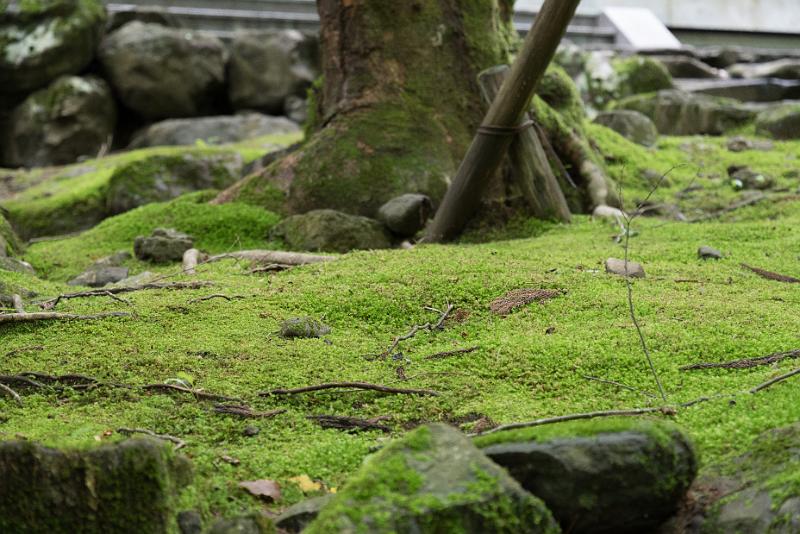 foto_20180524_1017_02_LR.jpg - cmichel@ballonspass.de