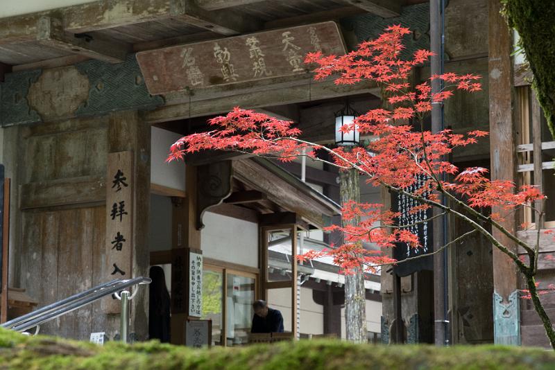 foto_20180524_1022_02_LR.jpg - cmichel@ballonspass.de