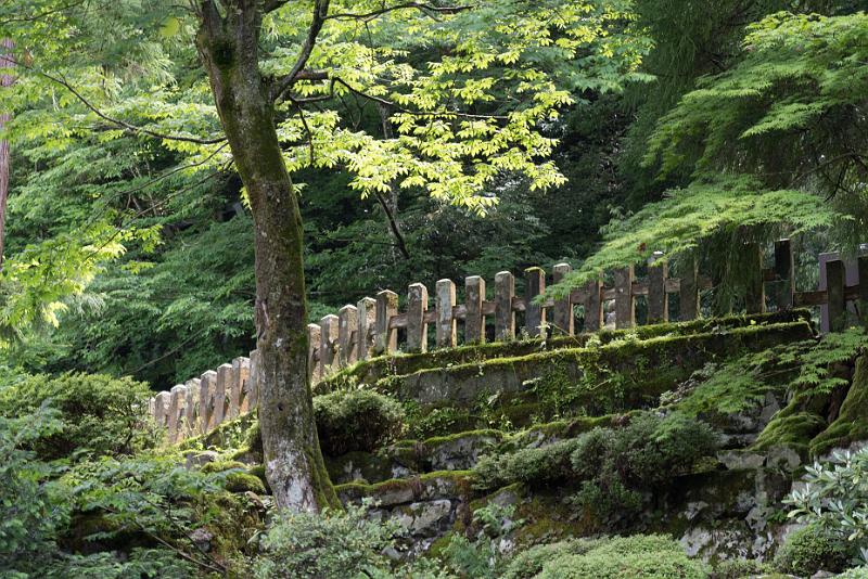 foto_20180524_1105_01_LR.jpg - cmichel@ballonspass.de