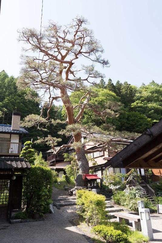 foto_20180525_1455_03_LR.jpg - cmichel@ballonspass.de