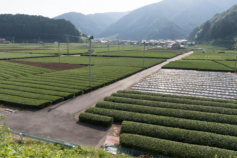 foto_20180527_1534_05_LR.jpg - cmichel@ballonspass.de