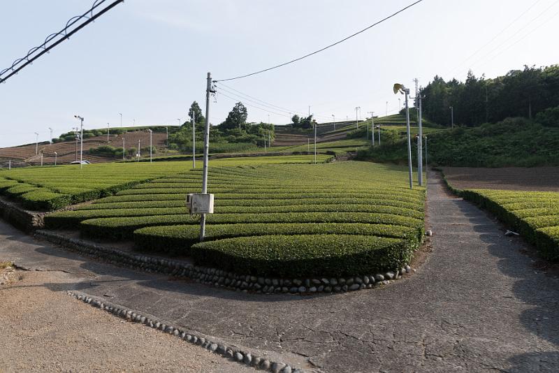 foto_20180527_1559_03_LR.jpg - cmichel@ballonspass.de